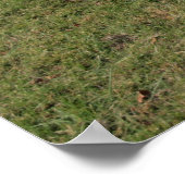 Poster Dodge Coronet 1966 (Coin)