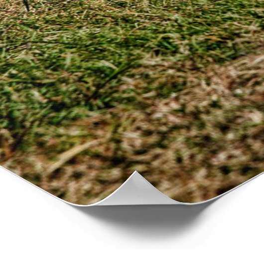 Poster Dodge Demon (Coin)