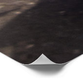 POSTER DODGE TRUCK HOOD ORNAMENT 1949 (Coin)