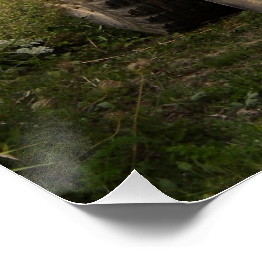 Poster Dodge WC 57 (Coin)