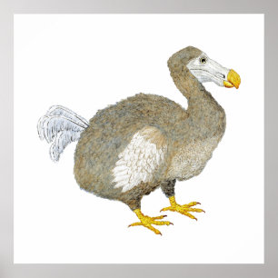 Poster Dodo Bird Art