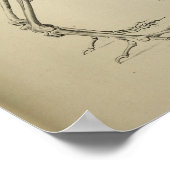 Poster Dodo Didus Ineptus Squelette d'oiseaux disparus Im (Coin)