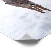 Poster Doe cerf dans la neige Montana Faune photographie (Coin)