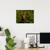 Poster Doe in Pine Trees (Bureau à domicile)