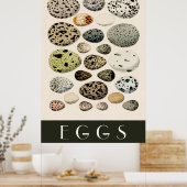 Poster d'oeufs (Cuisine)