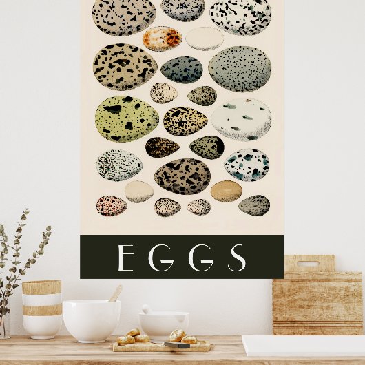 Poster d'oeufs (Cuisine)