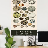 Poster d'oeufs (Bureau à domicile)
