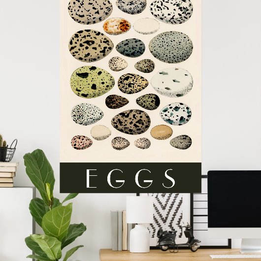 Poster d'oeufs (Bureau à domicile)