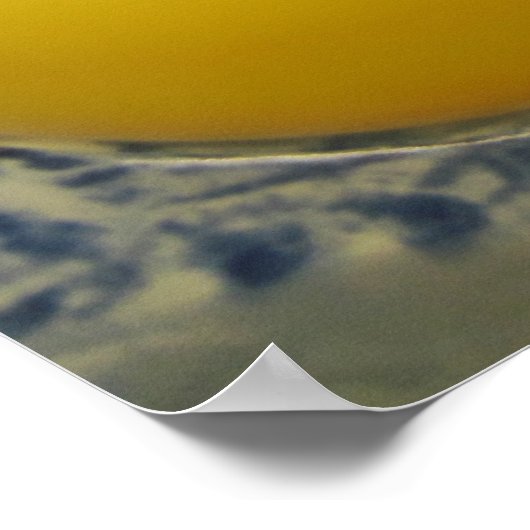 Poster d'oeufs (Coin)