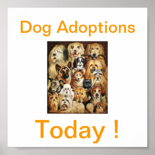 Poster Dog Adoptions Today Signs