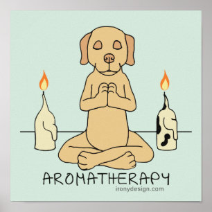 Poster Dog Aromatherapy Meditation Funny Cartoon