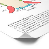 Poster Dog Cat Veterinary Dental Chart (Coin)