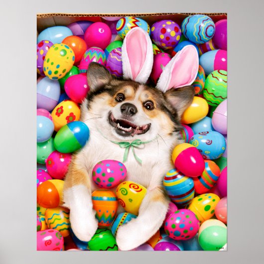 Poster Dog Laying on Easter Eggs (Devant)