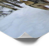 Poster Dog Sledding à Québec, Canada (Coin)