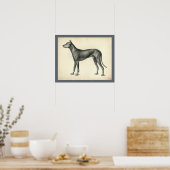 Poster Dog Surface Topography Anatomy Print (Cuisine)