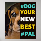 Poster #Dog, votre nouveau meilleur #Pal...Beagle (Devant)