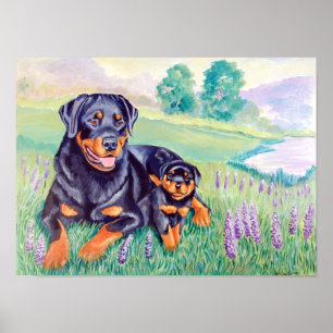 Poster Dog Wall Rottweiler