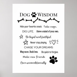 Poster Dog Wisdom