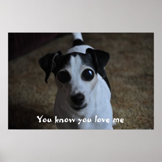 Poster dog, You know you love me. (Devant)