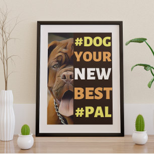 Poster #Dog, your New Best #Pal ...Mastiff