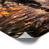 Poster "Doganda pour toujours !" (Coin)