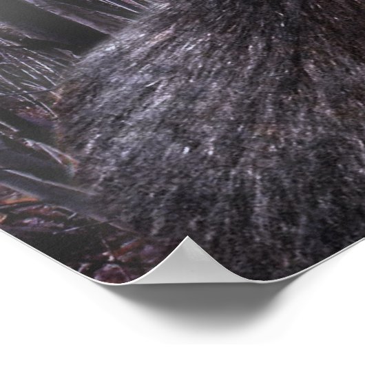 Poster Dogman (Coin)