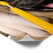 Poster Dogs and Cat Grads in Photo Booth (Coin)