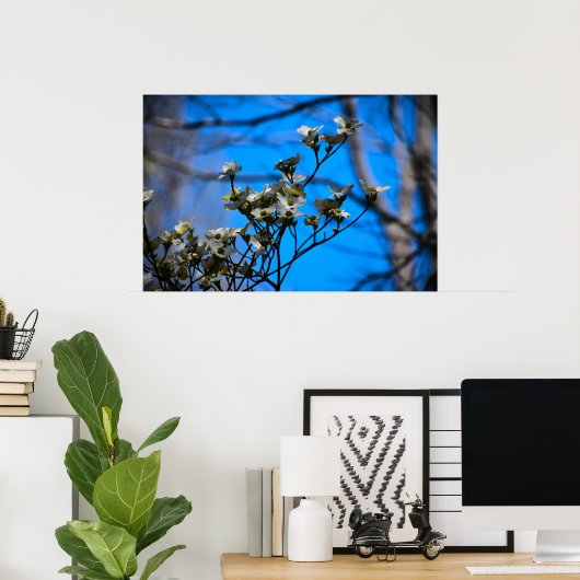 Poster Dogwood Blossom, (Bureau à domicile)