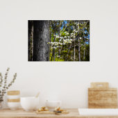 Poster Dogwood Blossom, (Cuisine)