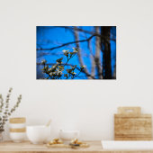 Poster Dogwood Blossom, (Cuisine)