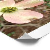 Poster Dogwood Blossom (Coin)