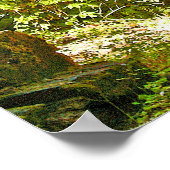 Poster Dogwood rouge (Coin)