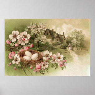 Poster Dogwood Tree Oiseau Nid Oiseau Cottage OEuf