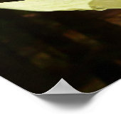 Poster Dogwoods et séquoias dans le parc national Yosemit (Coin)