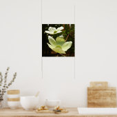 Poster Dogwoods et séquoias dans le parc national Yosemit (Cuisine)