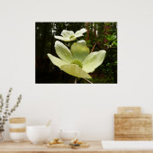 Poster Dogwoods et séquoias dans le parc national Yosemit (Cuisine)