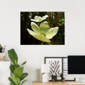 Poster Dogwoods et séquoias dans le parc national Yosemit (Bureau à domicile)