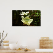Poster Dogwoods et séquoias dans le parc national Yosemit (Cuisine)