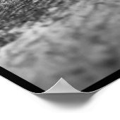 Poster d'oies (Coin)