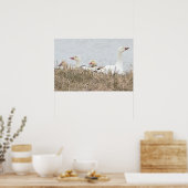 Poster d'oies des neiges (Cuisine)