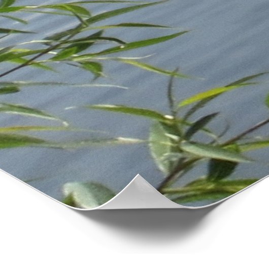 Poster d'oies sauvages (Coin)