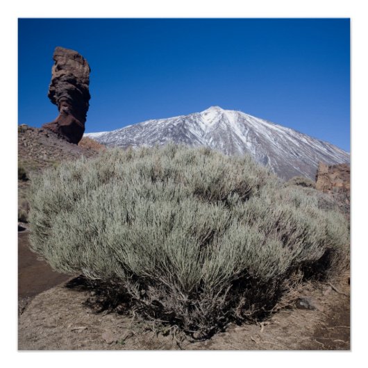 Poster Doigt de God (Devant)