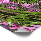 Poster Doily du printemps.... (Coin)