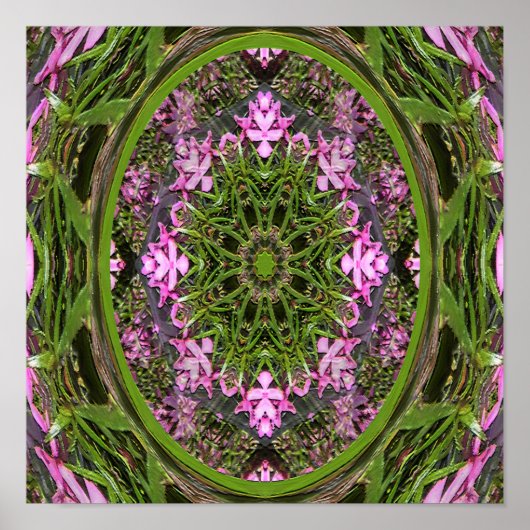 Poster Doily du printemps.... (Devant)