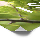 Poster d'oiseau à queue de bateau (Coin)