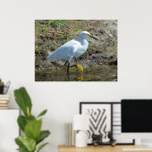 Poster d'oiseau d'aigrette blanc gracieux (Bureau à domicile)