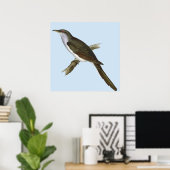 Poster d'oiseau de Cuckoo américain (Bureau à domicile)