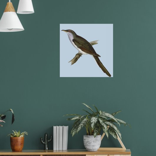 Poster d'oiseau de Cuckoo américain (Salon 1)