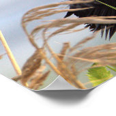 Poster d'oiseau-noir à ailes rouges (Coin)