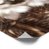 Poster d'oiseaux (Coin)